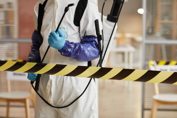 Professional Sewage Cleanup technician working in Tipton, IN